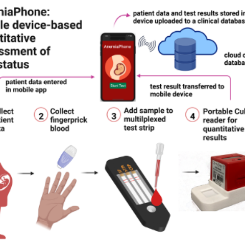 AnemiaPhone mobile device depiction